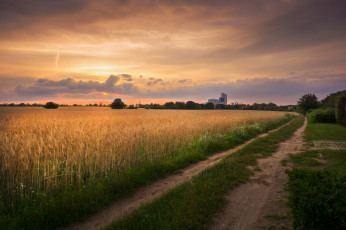 Картинка природа дороги простор