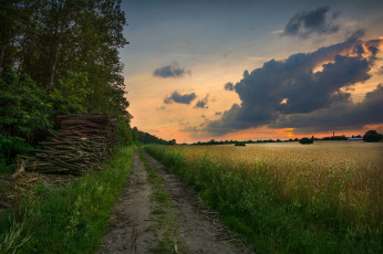 Картинка природа дороги простор