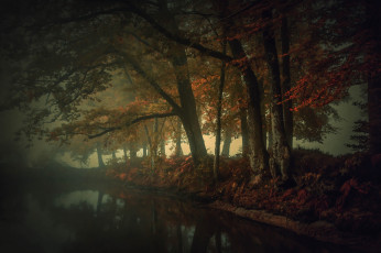 Картинка природа реки озера осень