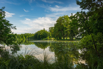 Картинка природа реки озера простор