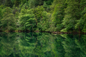 Картинка природа реки озера простор