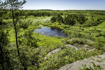 Картинка природа реки озера река лес