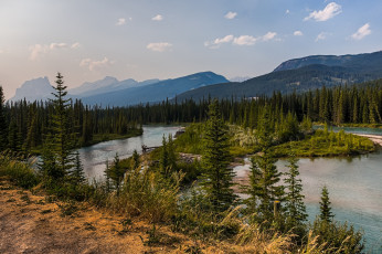 Картинка природа реки озера река лес