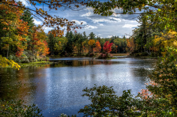 Картинка природа реки озера река лес