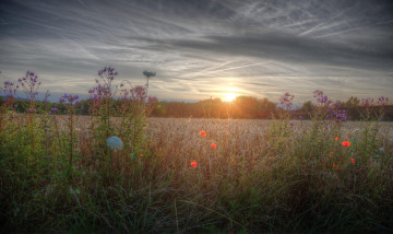 Картинка природа восходы закаты рассвет