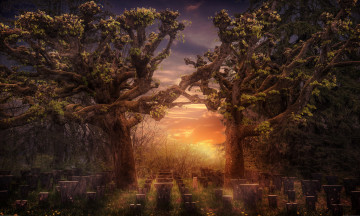 Картинка природа восходы закаты рассвет