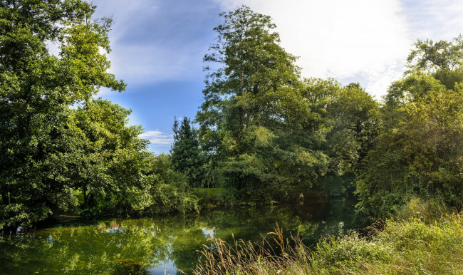 Обои картинки фото природа, реки, озера, лес, река