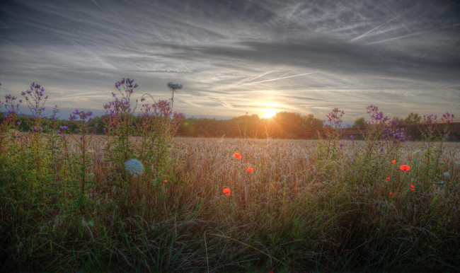 Обои картинки фото природа, восходы, закаты, рассвет