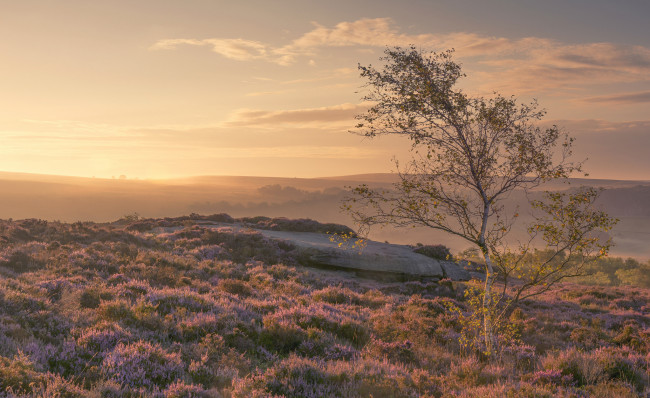 Обои картинки фото природа, восходы, закаты, рассвет