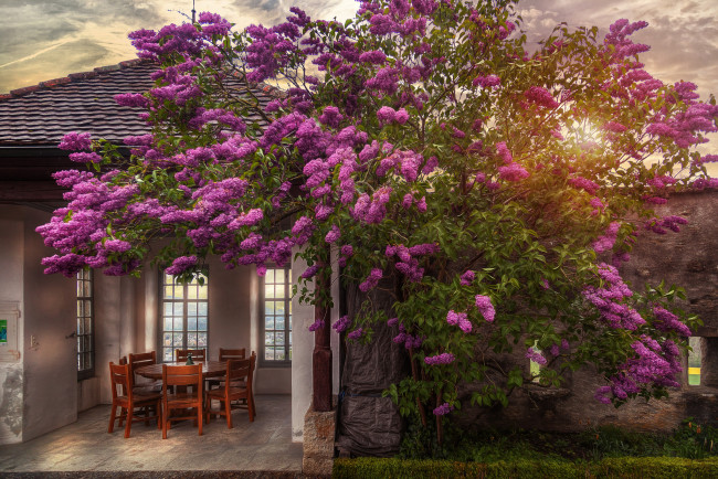 Обои картинки фото города, - здания,  дома, простор