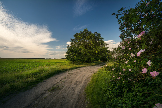 Обои картинки фото природа, дороги, простор