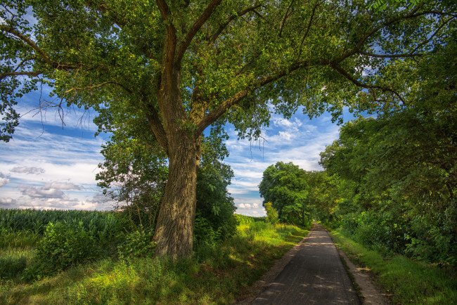 Обои картинки фото природа, дороги, простор