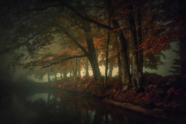 Обои картинки фото природа, реки, озера, осень