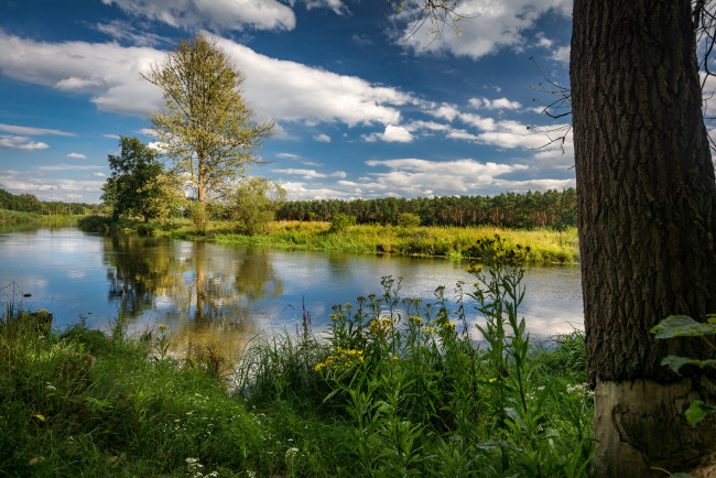 Обои картинки фото природа, реки, озера, простор