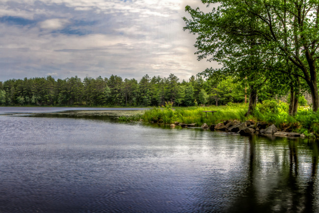 Обои картинки фото природа, реки, озера, река, лес