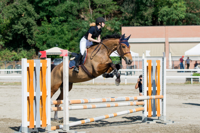 Обои картинки фото спорт, конный спорт, конный, препятствия, наездница, лошадь