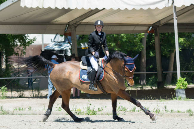 Обои картинки фото спорт, конный спорт, лошадь, наездница, препятствия, конный