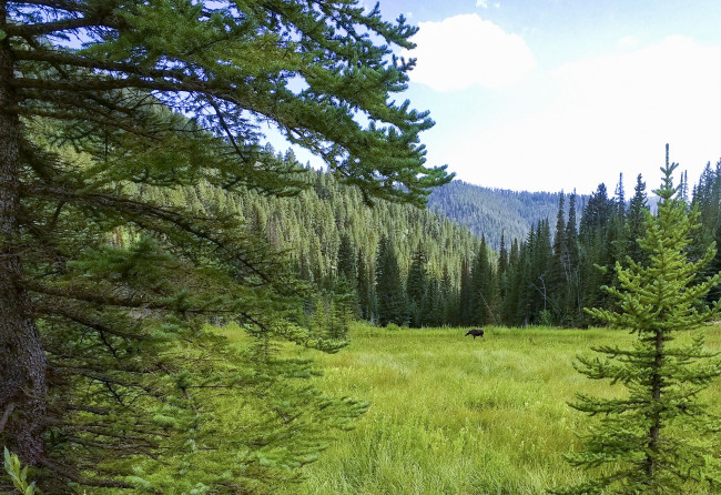 Обои картинки фото природа, пейзажи, простор