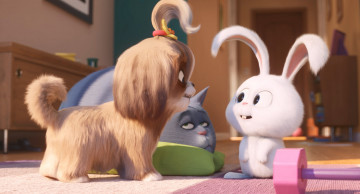 Картинка мультфильмы the+secret+life+of+pets+2 the secret life of pets 2
