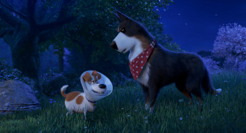 обоя мультфильмы, the secret life of pets 2, the, secret, life, of, pets, 2