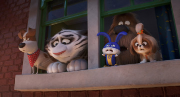 обоя мультфильмы, the secret life of pets 2, the, secret, life, of, pets, 2