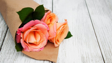 Картинка цветы розы персиковый