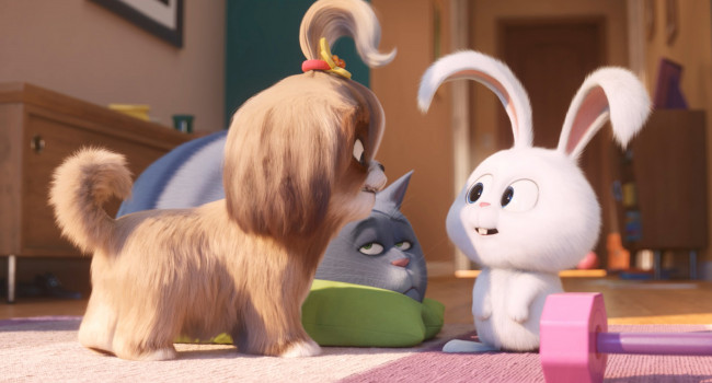 Обои картинки фото мультфильмы, the secret life of pets 2, the, secret, life, of, pets, 2