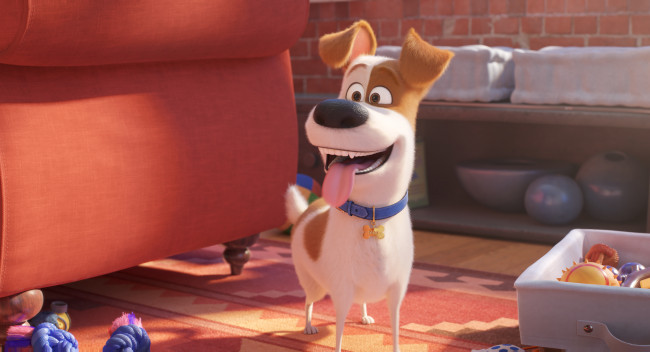 Обои картинки фото мультфильмы, the secret life of pets 2, the, secret, life, of, pets, 2