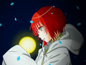 Картинка аниме mahou+tsukai+no+yome невеста чародея