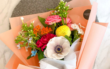 Картинка цветы букеты +композиции анемон гвоздика флоксы