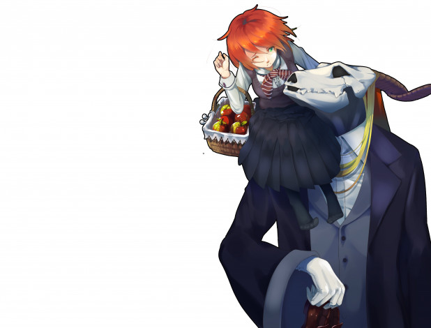 Обои картинки фото аниме, mahou tsukai no yome, невеста, чародея