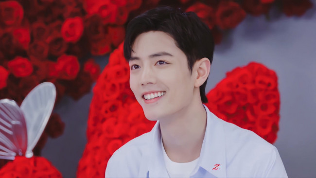 Обои картинки фото мужчины, xiao zhan, актер, розы, бабочка, презентация