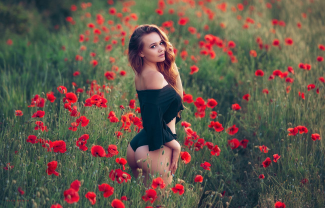 Обои картинки фото девушки, - рыжеволосые и разноцветные, луг, маки, рыженькая