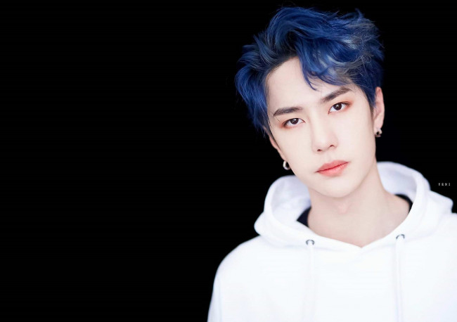 Обои картинки фото мужчины, wang yi bo, лицо, толстовка