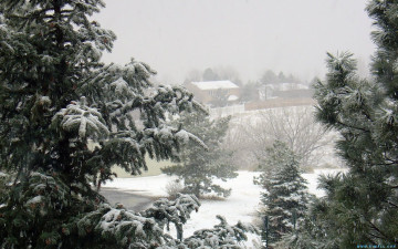 Картинка природа зима