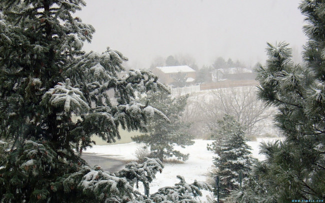 Обои картинки фото природа, зима