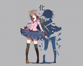 Картинка аниме bakemonogatari senjougahara+hitagi девушка форма инструменты