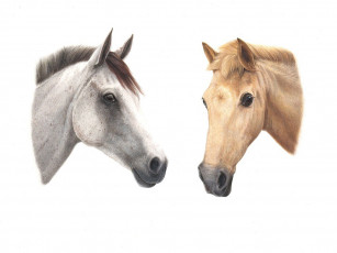 Картинка рисованные животные