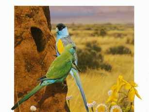 Картинка рисованные животные