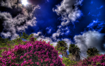 Картинка природа облака