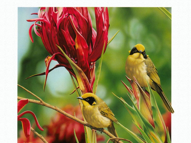 Обои картинки фото рисованные, животные