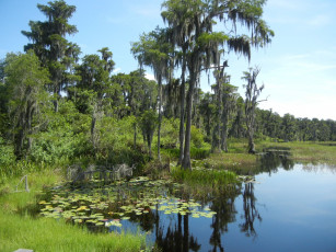Картинка lake louisa природа реки озера озеро