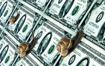 Картинка разное золото купюры монеты улитки валюта