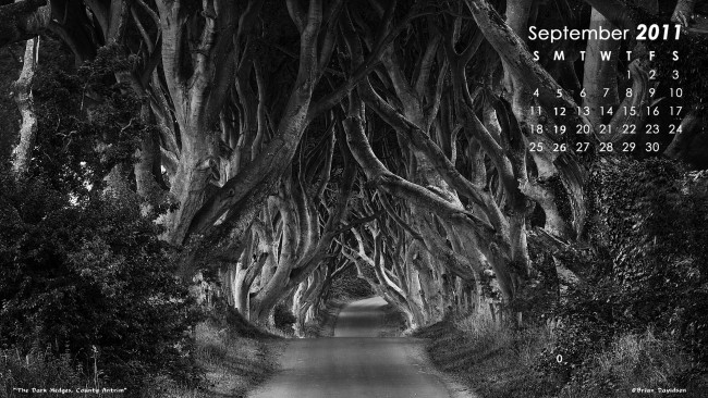 Обои картинки фото календари, природа, дорога, лес, деревья
