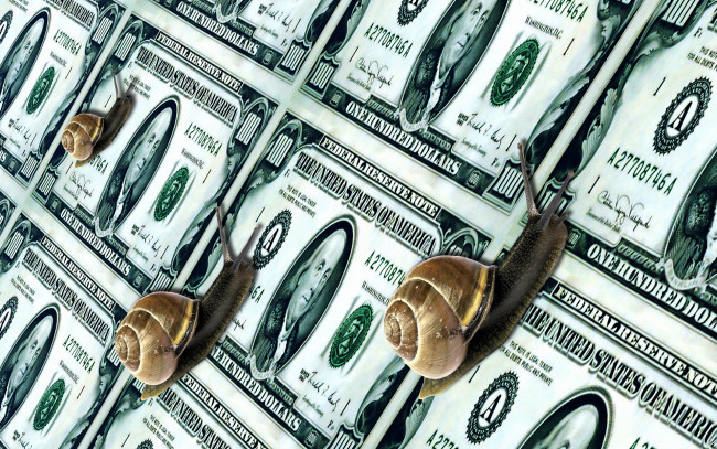 Обои картинки фото разное, золото, купюры, монеты, улитки, валюта