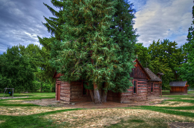 Обои картинки фото природа, деревья, сруб, дом, трава