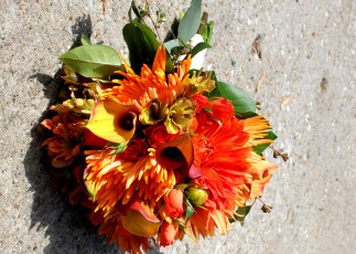 Картинка цветы букеты композиции розы букет