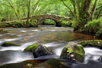 Картинка природа реки озера река мост