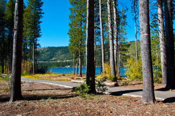 Картинка donner state park сша природа парк река лес