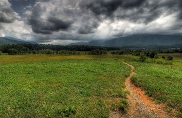 Картинка природа дороги сумрак тучи лес трава поле дорога